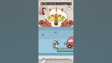 🐱 Hide and Seek: Cat Escape! #72 - Can You Beat This Impossible Level? 😱