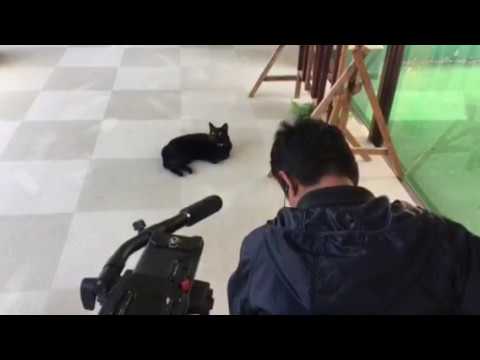 【RKB】取材風景 オマケ【今日感ニュース】
