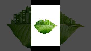 Green City Art Design | Photoshop Leaf and Buildings Effect #learnphotoshop #photoshop #tutorial