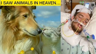 Are There Pets In Heaven?