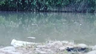 Fırat Eker - Sözüm Söz (Harika Ses)