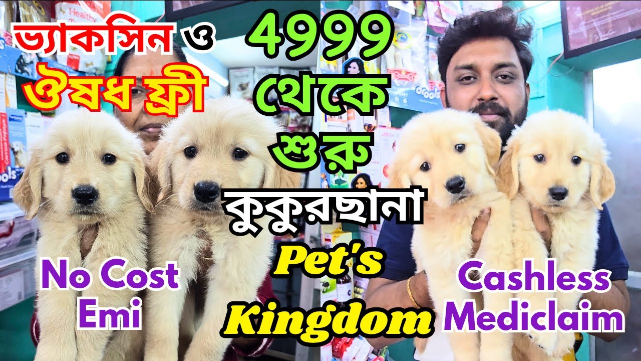 biggest-pet-shop-in-kolkata-all-breed-puppies-available-dog-market