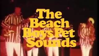 Beach Boys-God Only Knows(Metal Version)