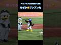 つば九郎🐧プンプン丸💢姿が愛おしい..2026/06/03