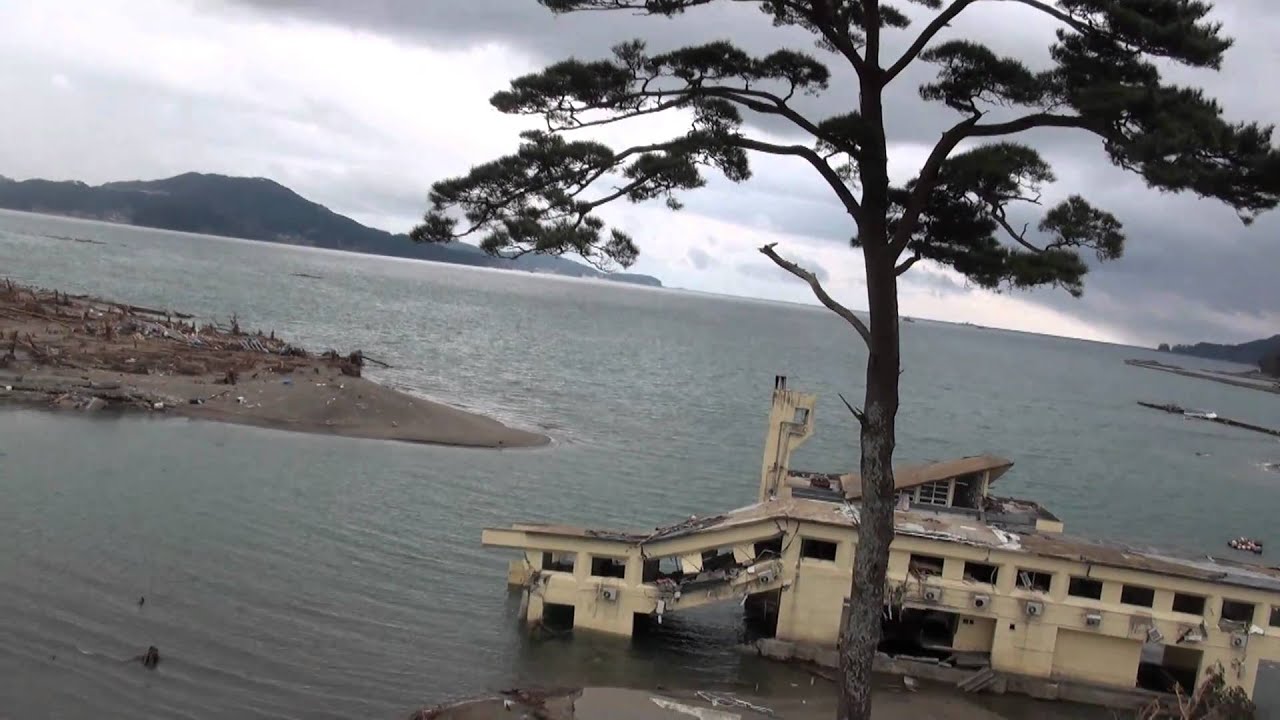 陸前高田　津波に残った松［義援バルーン空撮］