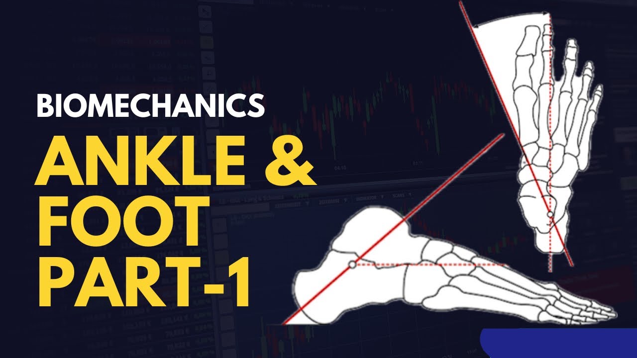 The Ultimate Guide to Ankle & Foot Biomechanics - YouTube