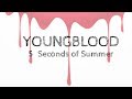 Youngblood - 5 Seconds of Summer (Lyrics Video)