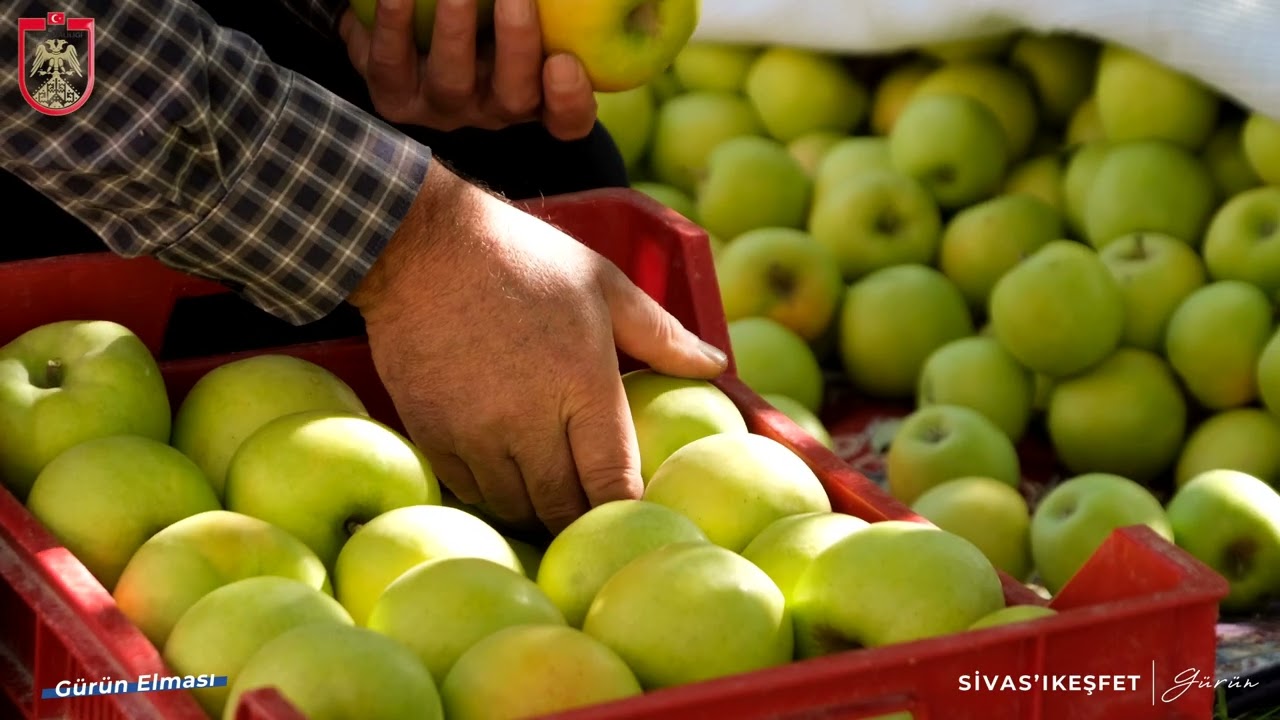 Sivas'ı Keşfet - Gürün Fragmanı
