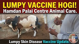 Hamdan Palai Centre: Lumpy Skin Disease Vaccine Update|11/06/26|