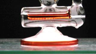 Product Video: Nautilus Bubblers Product Video: Nautilus Bubblers