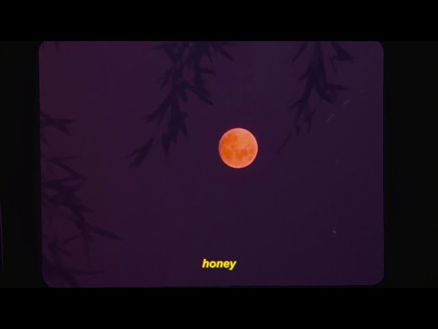 Frankie Animal - Honey