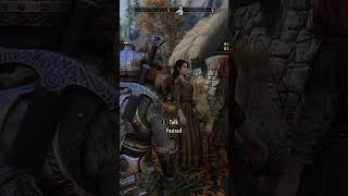 Skyrim NPCs have zero loyalty 💀
