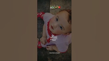 (وإذا بشر احدهم بالانثي) ⚠️حالات واتس.قران كريم. عبد الرحمن مسعد