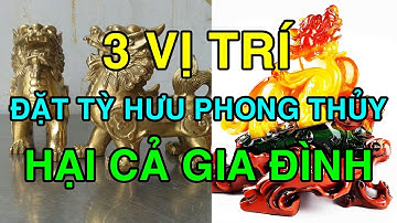 Ba Vị Trí Đặt Tỳ Hưu Phong Thủy HẠI Đủ Đường, 10 Người Thì 8 Người Mắc Phải, Liệu Đường Mà Hóa Giải