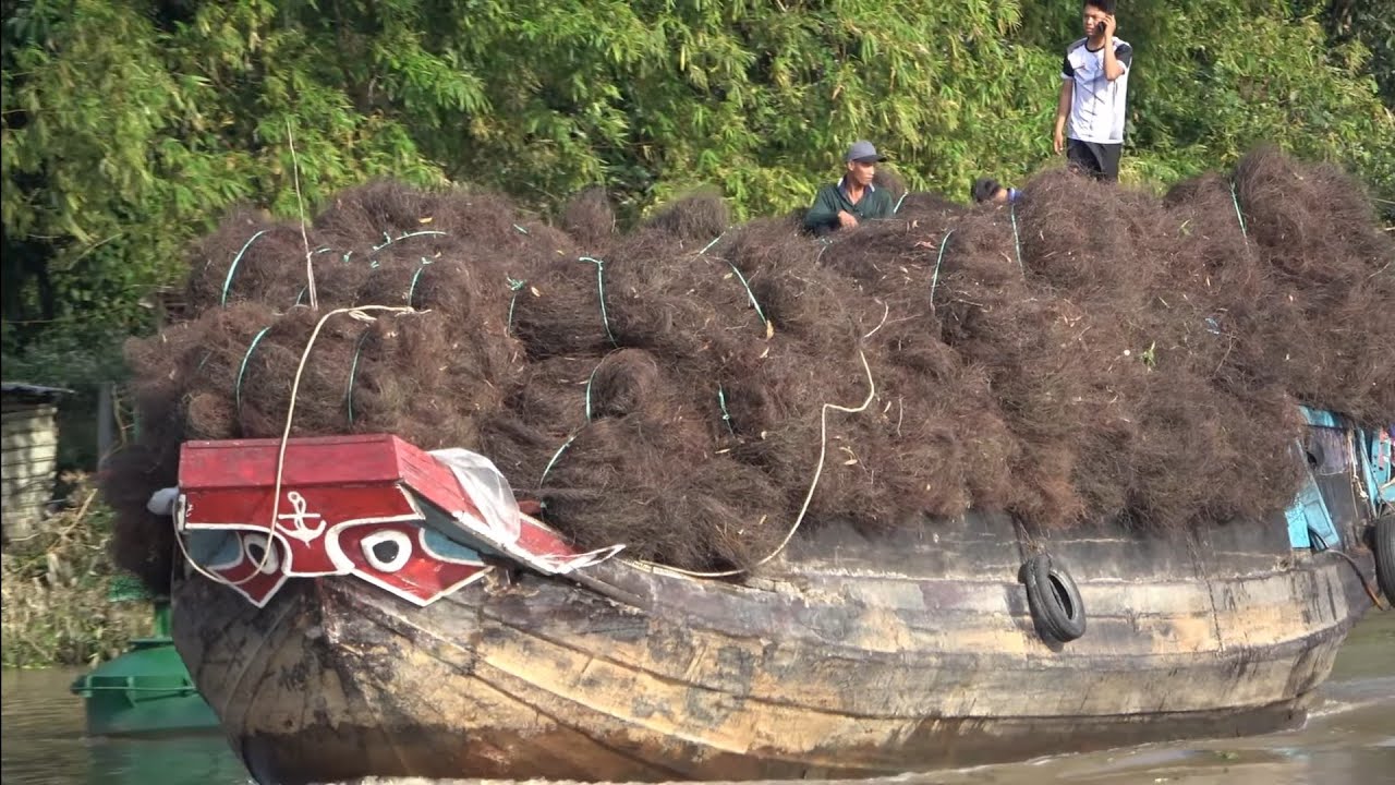 Cuộc sống yên bình của người dân bên dòng sông nhỏ