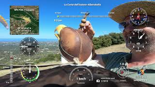 Eagle cam with overlay telemetry: New falconry experience