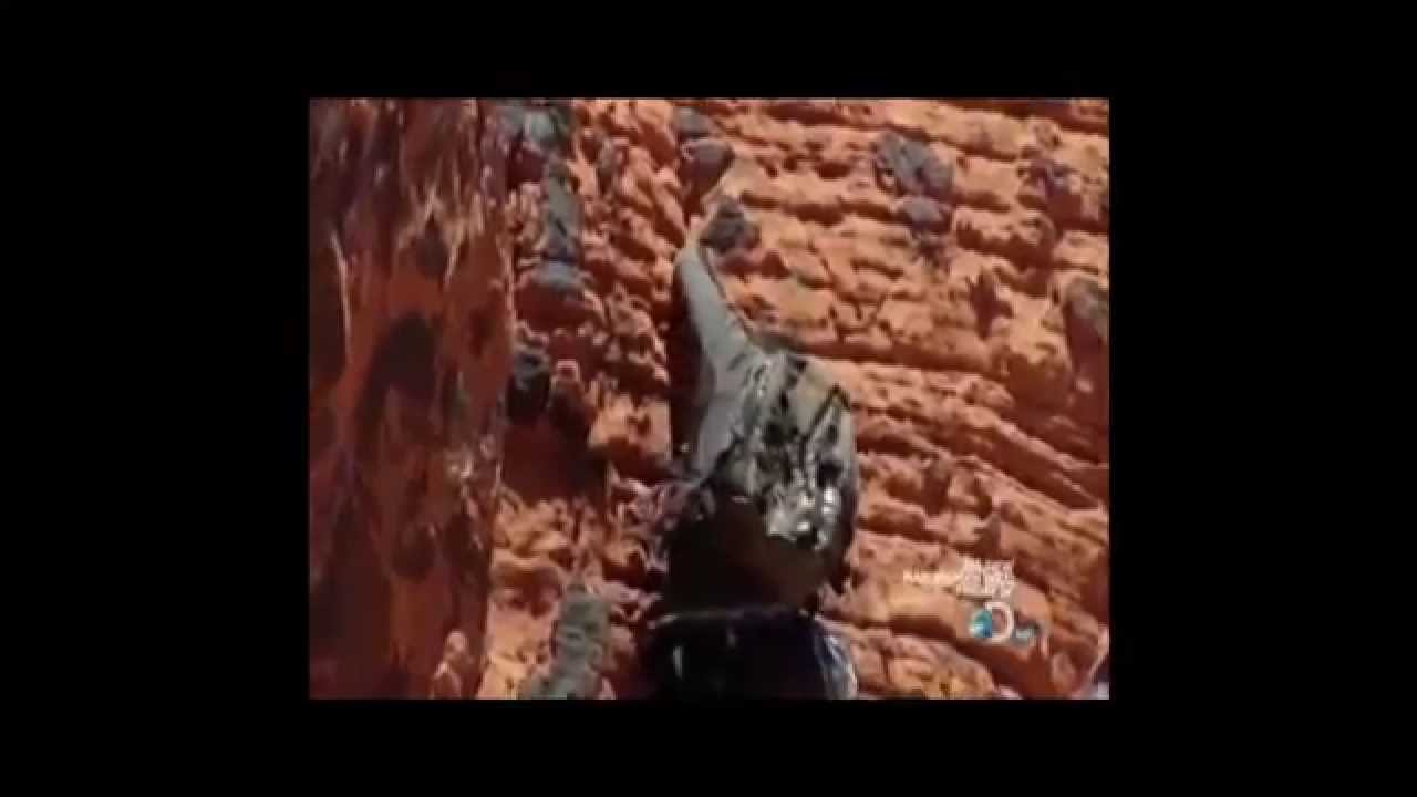 Bear Grylls extreme environments