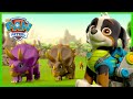 Dino Rescue PAW Patrol saves dinosaurs and more! | PAW Patrol | Cartoons for Kids Compilation