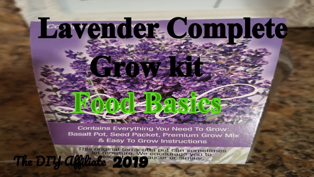 Lavender Grow Kit 2019 Food Basics YouTube