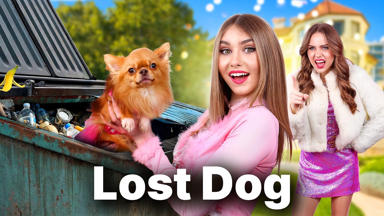 Millionaire’s Family Adopted a Poor Dog! We Found Lost Dog in a ...