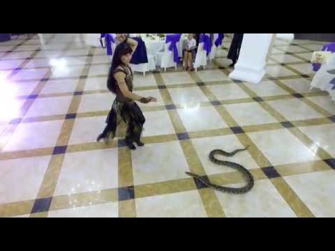 Айым Махметова танец со змеёй