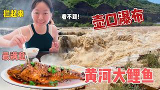 天然景观被围封收费！壶口瀑布门票+观光车要91元。在壶口镇吃黄河大鲤鱼，旅行老婆最满意的一餐