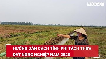 Hướng dẫn cách tính phí tách thửa đất nông nghiệp năm 2025 | Báo Lao Động