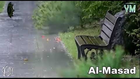 111 سورة المسد القارئ الشيخ ماهر المعيقلي القران الكريم Surat Al Masad