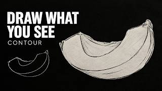 Contour Drawing: Learn to See and Draw What You See