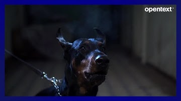 Keep information secure, not inaccessible