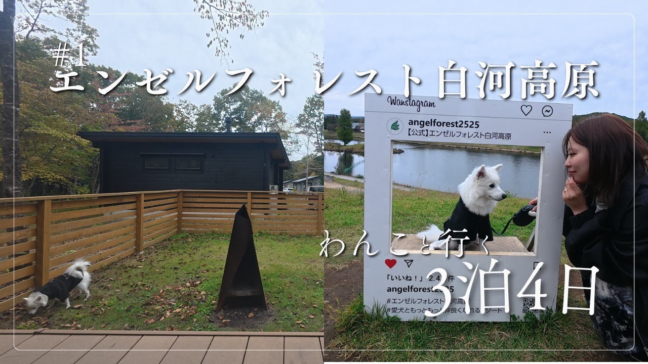 【#1】ワンコと３泊４日の連休旅【エンゼルフォレスト白川高原】