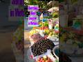 The Sweetest Thing About Vietnam Summer| Cheap Local Fruits by Seasons