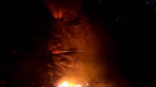 Лес Ночных Душ    Светлячки на Закате Карпаты Ночные Мистические Психофизические Тренировки  Onclusi