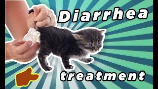 medicine for kittens with diarrhea