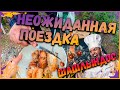 ПРИЕХАЛИ НА ДАЧУ/ САМЫЙ ВКУСНЫЙ ШАШЛЫК