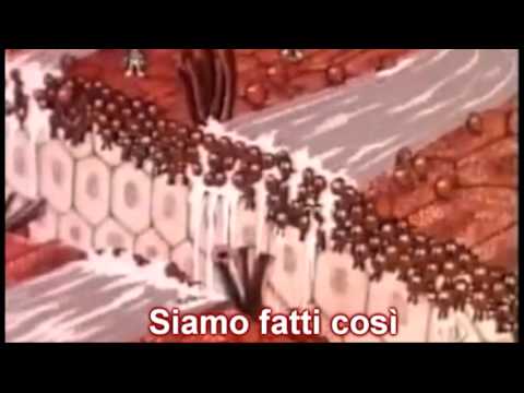 siamo fatti così - esplorando il corpo umano - sigla