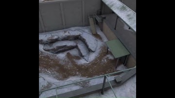 what was that #pavlovshack #pavlov #vr