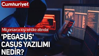 Erdoğanın danışmanının da dinlendiği iddia edilen Pegasus casus yazılımı nedir