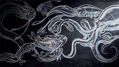 Peter Han Dynamic Sketching Week 1