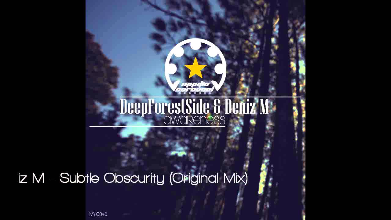DeepForestSide & Deniz M - Subtle Obscurity (Original Mix)