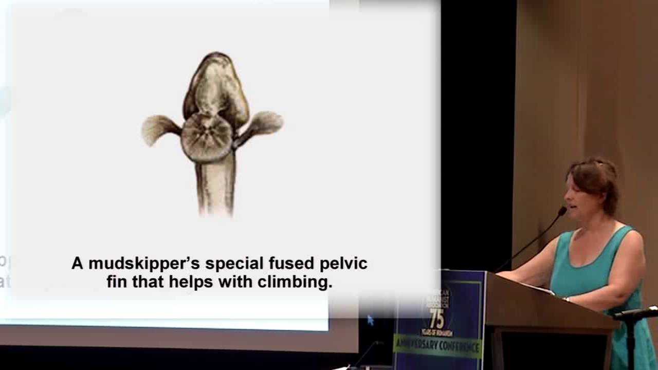 Эбби Хафер: Животные, которые не должны существовать согласно теории разумного замысла (конференц...