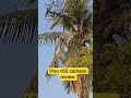 vivov60 camera review #trending#trending shorts #apnabanaleremix #birds#animals
