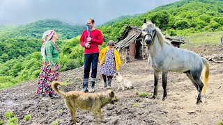 Discovery of Traditional old Houses by Nomadic Families in the treecovered Mountains