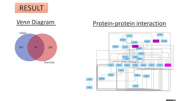 Interactomics reveal the molecular regulatory network of... - Manoj Khokhar - Poster - ISCB-LA 2020