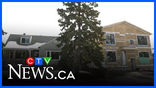 Investigating Edmonton Infill After The City Relaxed Rules For Developments In Mature Neighbourhoods