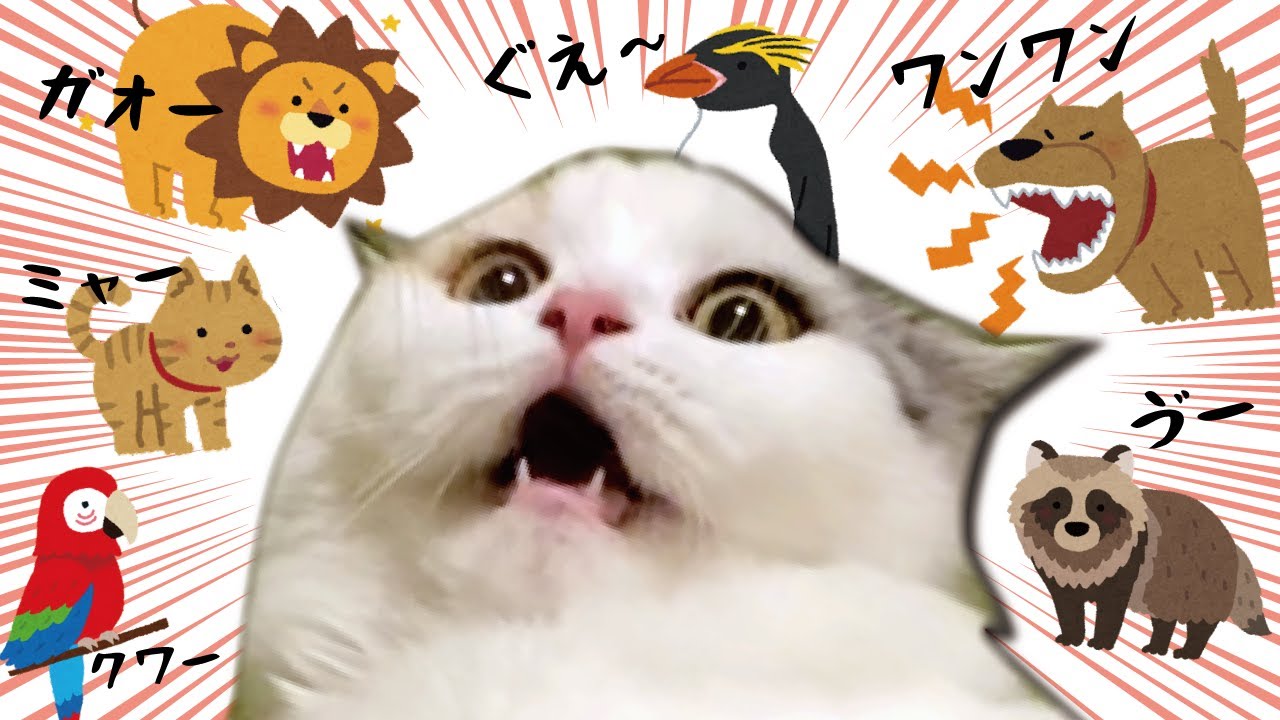 maxresdefault.jpg