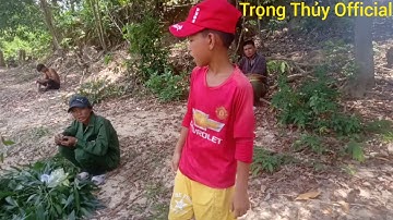 Nhóm Bạn Già Đi Chích Và Nướng Cá Rô Phi Ngoài Sông | Trọng Thủy Official