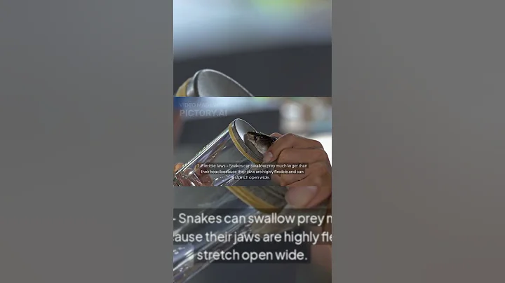 AMAZING FACTS ABOUT SNAKES| #shorts #ytshorts #youtubeshorts #viralvideo #short