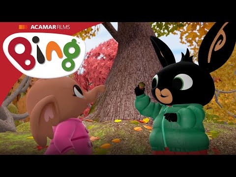 5. Králik Bing: Žalude