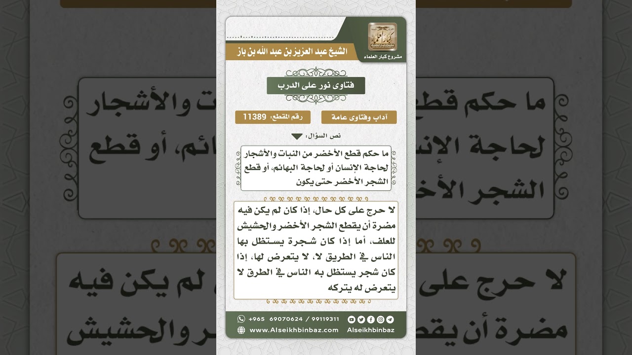 11389 - حكم قطع الشجر والنبات الأخضر - نور على الدرب